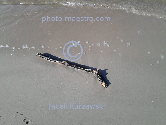 Poland,Kolobrzeg,West Pomeranian Voivodeship,sea shore,sand,Baltic Sea,beach,ambience,Old wood,decoration,nature