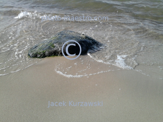 Poland,Kolobrzeg,West Pomeranian Voivodeship,sea shore,sand,Baltic Sea,beach,ambience,stone in water,decoration,nature