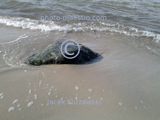 Poland,Kolobrzeg,West Pomeranian Voivodeship,sea shore,sand,Baltic Sea,beach,ambience,stone in water,decoration,nature