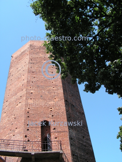 Poland,Kruszwica,Kuyavian-Pomeranian Voivodeship,architekture,history,castle,tower,mouses