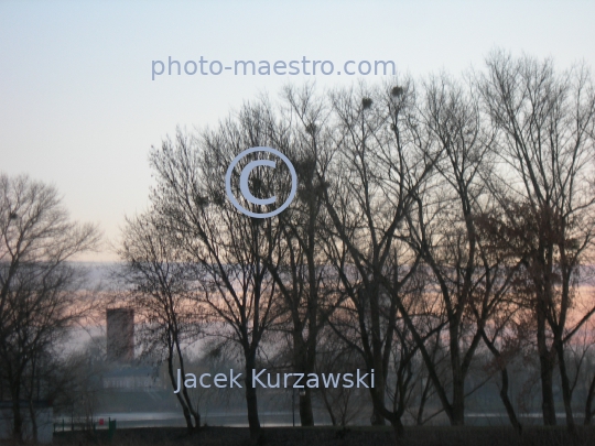 Poland,Kruszwica,Kuyavian-Pomeranian Voivodeship,monuments,twilight,ambience,Goplo,Lake,sunset