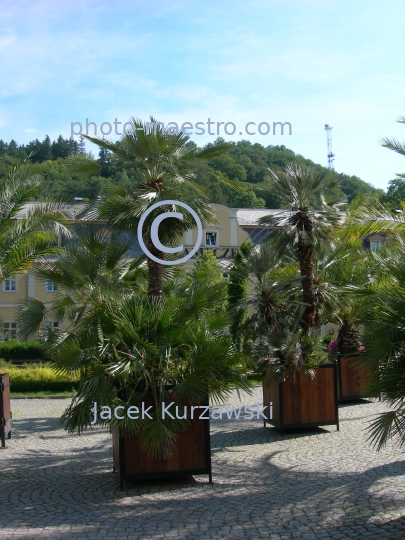 Poland,Kudowa Zdroj,lower silesian voivodeship,baleonology,architecture,nature,park