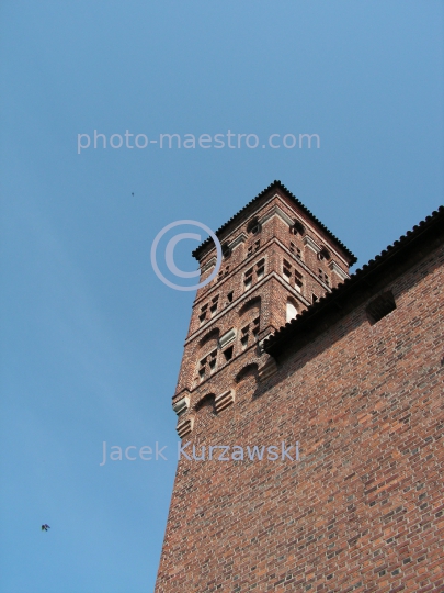 Poland,Lidzbark Warminski,Teutonic Knights,Castle,architecture,medieval architecture,monouments