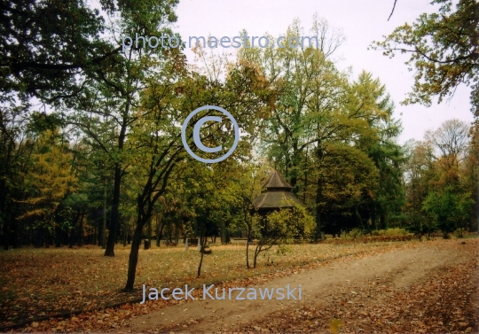 Poland,Lipno,,Kuyavian-Pomeranian Voivodeship,architecture,monouments,city center,park