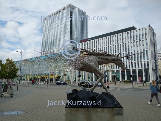 Poland,Lodz,Lodz Voivodeship,architecture,monuments,panoramical view,city center,modern architecture