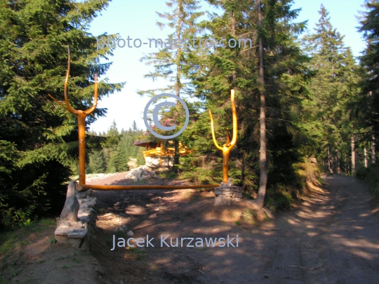 Poland,Nowy Targ,Gorce,hiking trail to Turbacz summit,Lesser Poland Voivodeship,nature,mountains,panoramical view