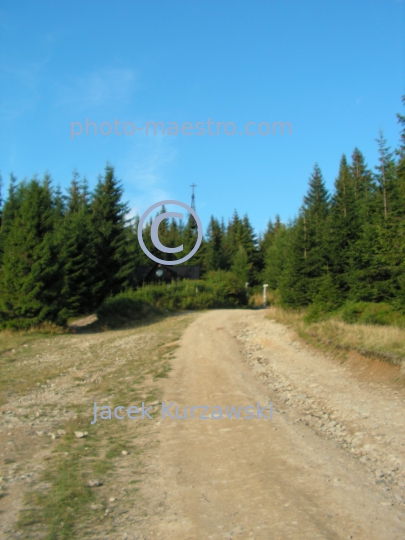 Poland,Nowy Targ,Gorce,hiking trail to Turbacz summit,Lesser Poland Voivodeship,nature,mountains,panoramical view