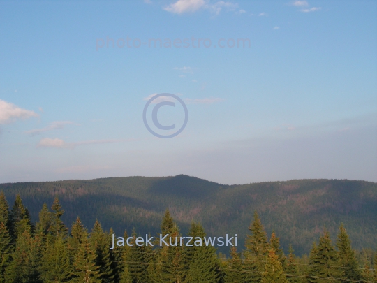 Poland,Nowy Targ,Gorce,hiking trail to Turbacz summit,Lesser Poland Voivodeship,nature,mountains,panoramical view