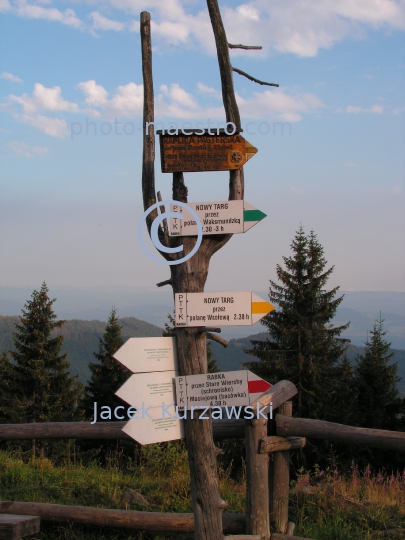 Poland,Nowy Targ,Gorce,hiking trail to Turbacz summit,Lesser Poland Voivodeship,nature,mountains,panoramical view