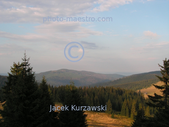 Poland,Nowy Targ,Gorce,hiking trail to Turbacz summit,Lesser Poland Voivodeship,nature,mountains,panoramical view