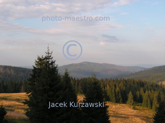 Poland,Nowy Targ,Gorce,hiking trail to Turbacz summit,Lesser Poland Voivodeship,nature,mountains,panoramical view