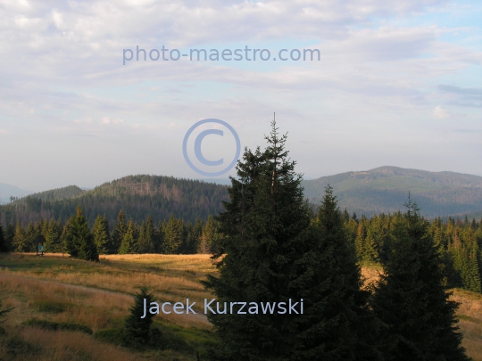 Poland,Nowy Targ,Gorce,hiking trail to Turbacz summit,Lesser Poland Voivodeship,nature,mountains,panoramical view