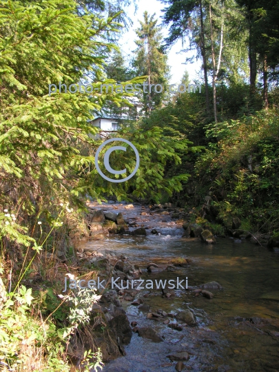 Poland,Nowy Targ,Kowaniec District,Gorce Mountains,Lesser Poland Voivodeship,nature,mountain source