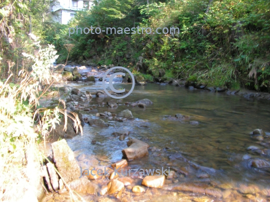 Poland,Nowy Targ,Kowaniec District,Gorce Mountains,Lesser Poland Voivodeship,nature,mountain source