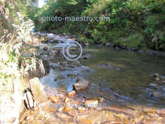 Poland,Nowy Targ,Kowaniec District,Gorce Mountains,Lesser Poland Voivodeship,nature,mountain source