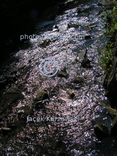 Poland,Nowy Targ,Kowaniec District,Gorce Mountains,Lesser Poland Voivodeship,nature,mountain source