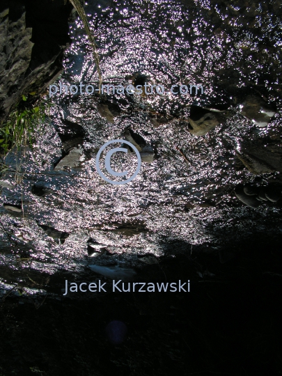 Poland,Nowy Targ,Kowaniec District,Gorce Mountains,Lesser Poland Voivodeship,nature,mountain source