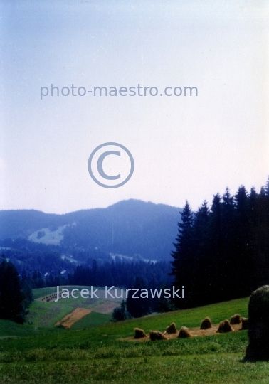 Poland,Nowy Targ,Kowaniec District,Gorce Mountains,Lesser Poland Voivodeship,nature,mountains