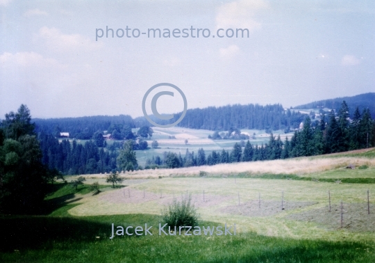 Poland,Nowy Targ,Kowaniec District,Gorce Mountains,Lesser Poland Voivodeship,nature,mountains