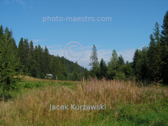 Poland,Nowy Targ,Kowaniec District,Gorce Mountains,Lesser Poland Voivodeship,nature,mountains