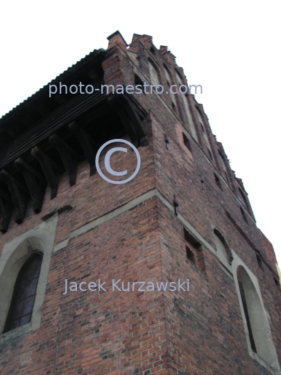 Poland,Olsztyn,Warmian-Masurian Voivodeship,Teutonic Knghts,Old Town,monuments,architecture,panoramical view