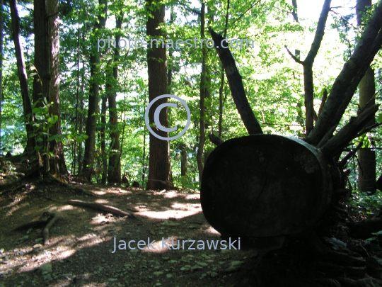 Poland,Pieniny Mountains,hiking trail to Trzy Korony summit,Lesser Poland Voivodeship,nature,mountains