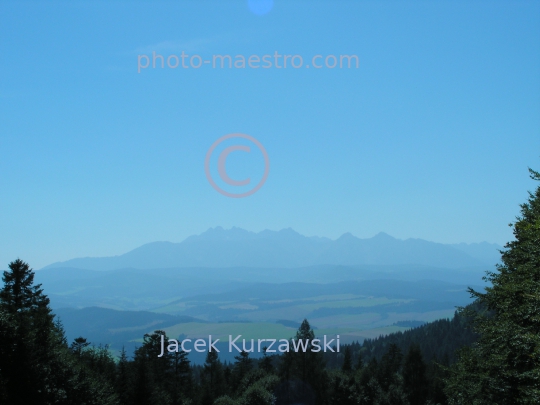 Poland,Pieniny Mountains,Lesser Poland Voivodeship,nature,mountains,meadow,panoramical view,Tatra Mountains viewed from Pieniny Mountains