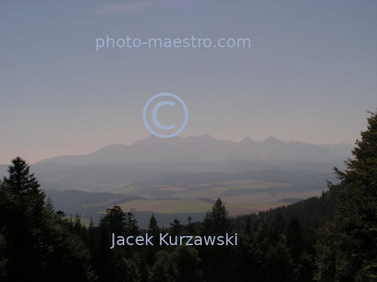 Poland,Pieniny Mountains,Lesser Poland Voivodeship,nature,mountains,meadow,panoramical view,Tatra Mountains viewed from Pieniny Mountains