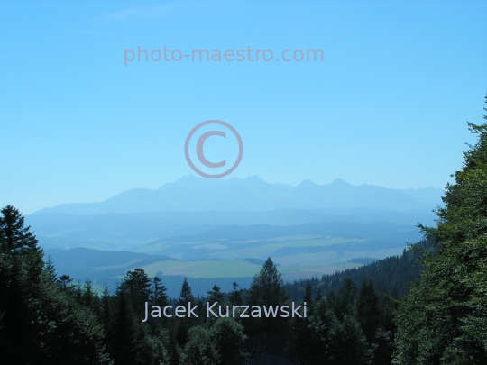 Poland,Pieniny Mountains,Lesser Poland Voivodeship,nature,mountains,meadow,panoramical view,Tatra Mountains viewed from Pieniny Mountains