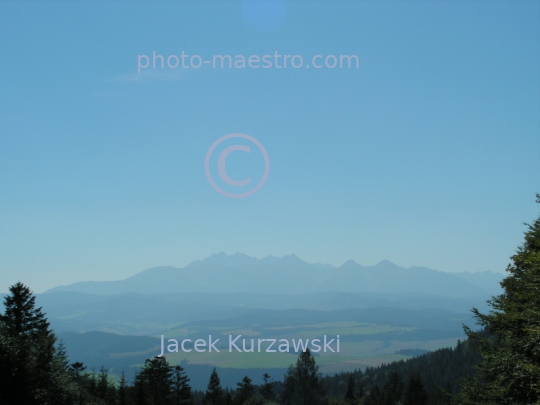 Poland,Pieniny Mountains,Lesser Poland Voivodeship,nature,mountains,meadow,panoramical view,Tatra Mountains viewed from Pieniny Mountains