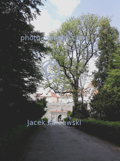 Poland,Pieskowa Skala,Lesser Poland voivodeship,history,architecture,castle,nature,panoramical view,OPN