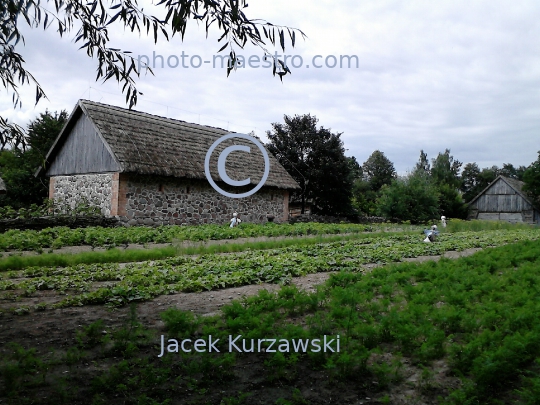 Poland,Sierpc,Mazowieckie Voivodeship,Mazovia region,architecture,wooden buildings,museum,panoramical view,etnography