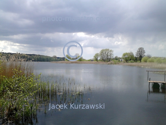 Poland,Skepe,Kuyavian-Pomeranian Voivodeship,nature,spring,lake,ambience