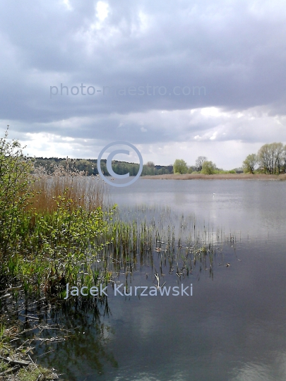 Poland,Skepe,Kuyavian-Pomeranian Voivodeship,nature,spring,lake,ambience