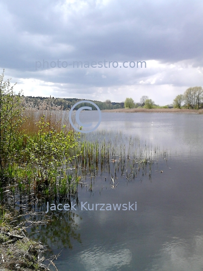 Poland,Skepe,Kuyavian-Pomeranian Voivodeship,nature,spring,lake,ambience