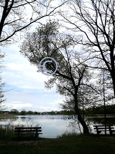 Poland,Skepe,Kuyavian-Pomeranian Voivodeship,nature,spring,lake,ambience