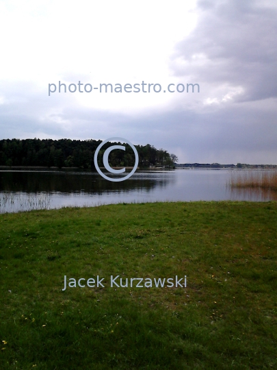 Poland,Skepe,Kuyavian-Pomeranian Voivodeship,nature,spring,lake,ambience