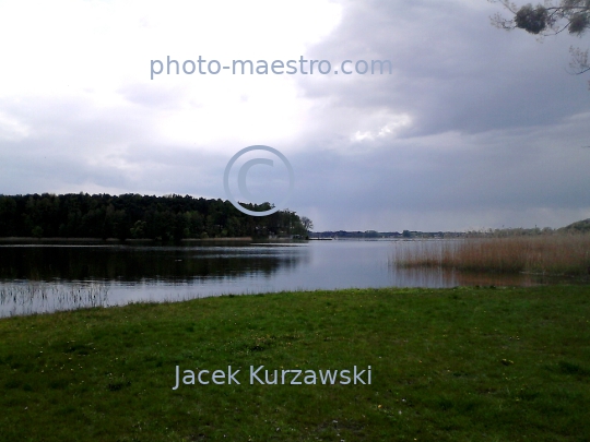 Poland,Skepe,Kuyavian-Pomeranian Voivodeship,nature,spring,lake,ambience