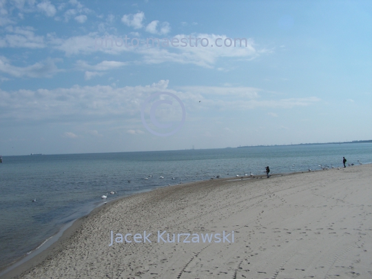 Poland,Sopot,Pomeranian Voivodeship,landscape,panoramical view,swans,baleonology,Baltic Sea,Cliff