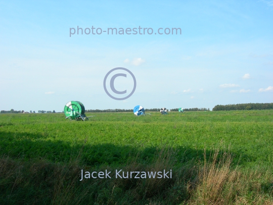 Poland,Sumin,Kuyavian-Pomeranian Voivodeship,nature,acriculture,cultivation