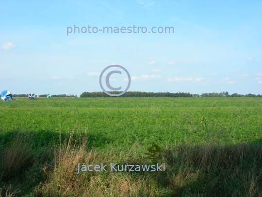 Poland,Sumin,Kuyavian-Pomeranian Voivodeship,nature,acriculture,cultivation