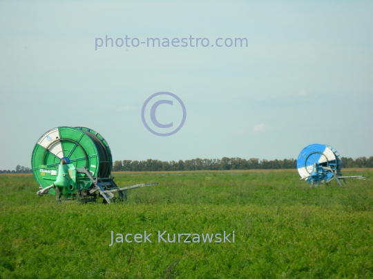 Poland,Sumin,Kuyavian-Pomeranian Voivodeship,nature,acriculture,cultivation