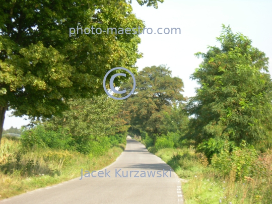 Poland,Sumin,Kuyavian-Pomeranian Voivodeship,nature,acriculture,landscape,church,panoramicla view,road