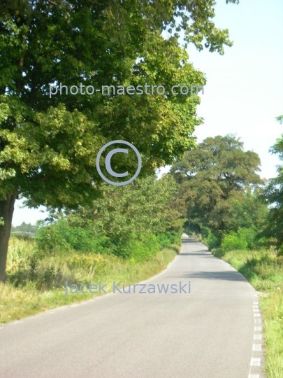 Poland,Sumin,Kuyavian-Pomeranian Voivodeship,nature,acriculture,landscape,church,panoramicla view,road