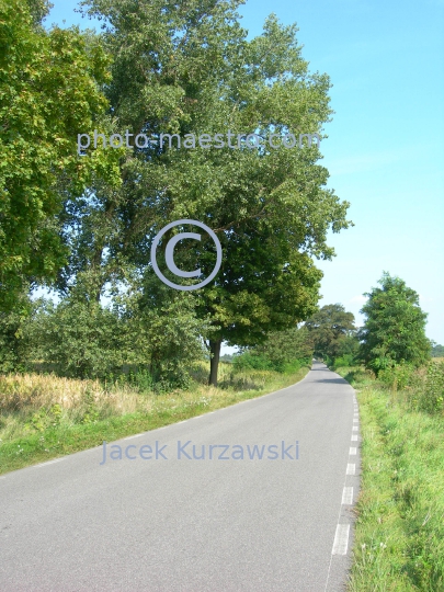 Poland,Sumin,Kuyavian-Pomeranian Voivodeship,nature,acriculture,landscape,church,panoramicla view,road