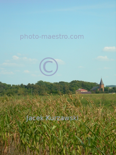 Poland,Sumin,Kuyavian-Pomeranian Voivodeship,nature,acriculture,landscape,church,panoramicla view,road