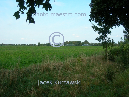 Poland,Sumin,Kuyavian-Pomeranian Voivodeship,nature,acriculture,landscape,panoramicla view