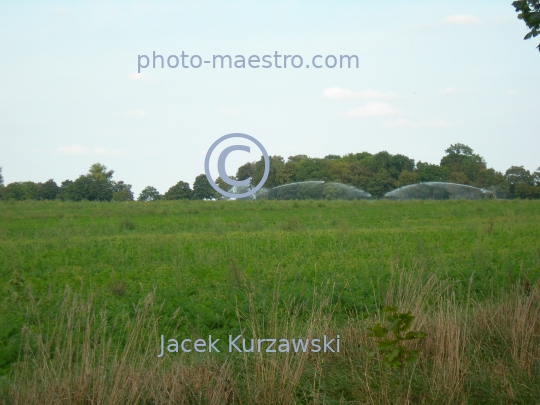 Poland,Sumin,Kuyavian-Pomeranian Voivodeship,nature,acriculture,landscape,panoramicla view