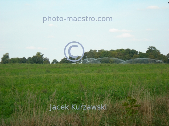 Poland,Sumin,Kuyavian-Pomeranian Voivodeship,nature,acriculture,landscape,panoramicla view