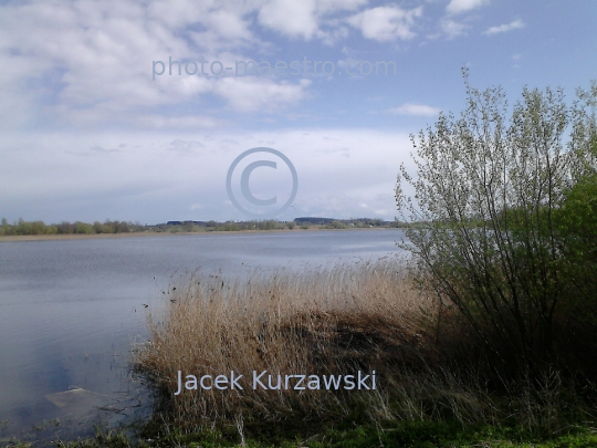 Poland,Sumin,Kuyavian-Pomeranian Voivodeship,panoramical view,nature,spring,art,lake